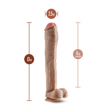 Load image into Gallery viewer, Dr. Skin Mr. Ed 13 Inch Dildo With Balls
