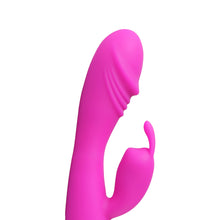Load image into Gallery viewer, 12 speed Rabbit Vibrator Pink
