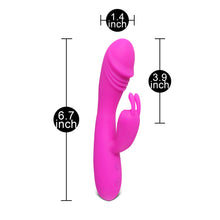 Load image into Gallery viewer, 12 speed Rabbit Vibrator Pink
