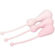 Load image into Gallery viewer, Inspire Weighted Silicone Kegel Training Kit
