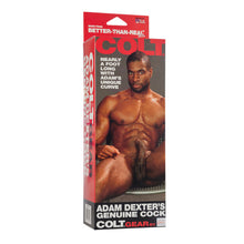 Load image into Gallery viewer, COLT Adam Dexters Realistic Cock Dildo
