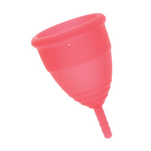 Load image into Gallery viewer, adult sex toy Mae B Intimate Health 2 Large Menstrual Cups&gt; Relaxation Zone &gt; Personal HygieneRaspberry Rebel
