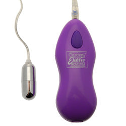adult sex toy Ballistic Mini Bullet VibratorSex Toys > Sex Toys For Ladies > Vibrating EggsRaspberry Rebel