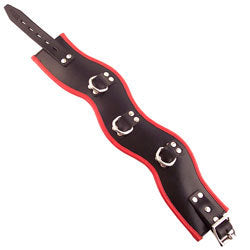adult sex toy Rouge Garments Black And Red Padded Posture CollarBondage Gear > CollarsRaspberry Rebel